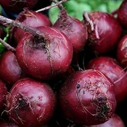 Beets