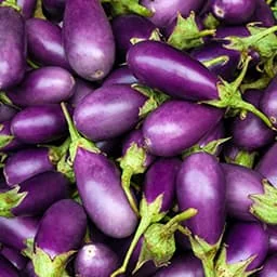 Eggplant