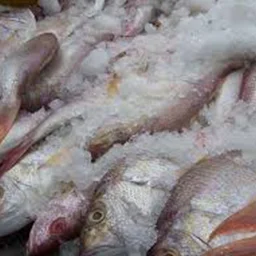 Frozen smoked fish