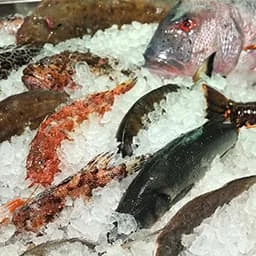 Iced fish