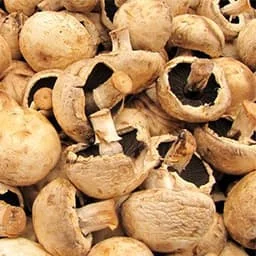 Mushrooms