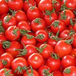 Tomato, red