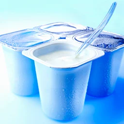 Yogurt