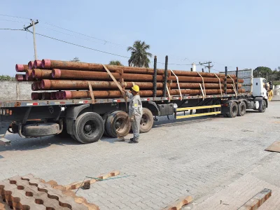 Logging & Pipes Truck